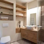 Rent 1 bedroom apartment in vilnius