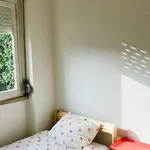 Rent a room in lisbon