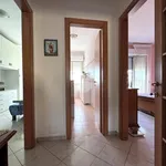 Rent 3 bedroom apartment of 104 m² in Sabaudia