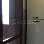 Rent 3 bedroom apartment of 62 m² in Bologna