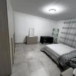 Rent 1 bedroom apartment of 100 m² in Colorno