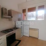 Rent 4 bedroom apartment of 85 m² in Bologna