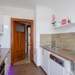 Rent 4 bedroom apartment of 80 m² in Leipzig