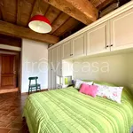 Rent 2 bedroom apartment of 50 m² in Vicopisano