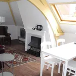 Rent 1 bedroom apartment in The Hague