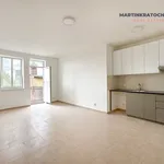 Rent 1 bedroom apartment of 28 m² in Kolín