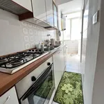 Rent 4 bedroom apartment of 100 m² in Campobasso