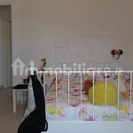 Rent 4 bedroom apartment of 85 m² in Pescara