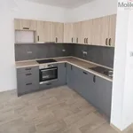 Pronajměte si 3 ložnic/e byt o rozloze 85 m² v Ústí nad Labem