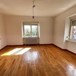 Rent 1 bedroom apartment in Pfaffenhoffen