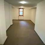 Rent 1 bedroom apartment in Děčín