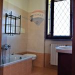 Rent 4 bedroom house of 85 m² in Pavia