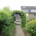 Rent 4 bedroom house of 144 m² in Boxtel