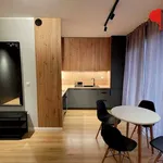 Rent 1 bedroom apartment of 31 m² in Poznan