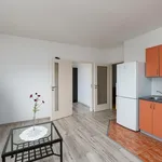 Rent 2 bedroom apartment of 43 m² in Pilsen