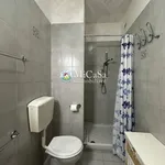 Rent 2 bedroom apartment of 65 m² in pisa