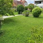 Rent 2 bedroom apartment of 70 m² in Graz