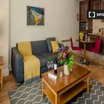 Rent 1 bedroom apartment in Dublin