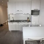 Rent 2 bedroom apartment of 50 m² in Turin