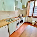 Rent 1 bedroom apartment of 35 m² in florence