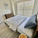 Rent 1 bedroom apartment in Westbury