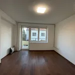 Rent 1 bedroom house of 1 m² in Tábor