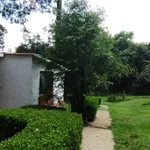 Rent 4 bedroom house of 1095 m² in Distrito Federal