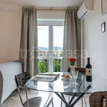 Rent 1 bedroom apartment of 50 m² in Firenze