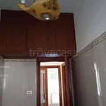 Rent 3 bedroom apartment of 80 m² in Roma