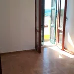 Rent 3 bedroom apartment of 80 m² in Roma