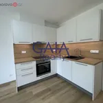 Rent 2 bedroom apartment of 35 m² in Čejč