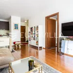 Rent 1 bedroom apartment of 50 m² in Split