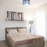 Rent 2 bedroom apartment of 53 m² in Roma