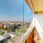 Rent 1 bedroom apartment of 29 m² in Ostrava