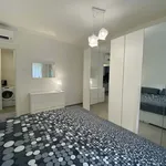 Rent 4 bedroom apartment in Bologna