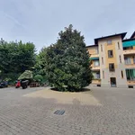 Rent 2 bedroom apartment of 72 m² in Milano