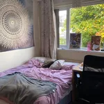 Rent 10 bedroom house in East Midlands