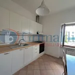 Rent 2 bedroom apartment of 40 m² in Perugia