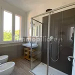 Rent 1 bedroom apartment of 45 m² in Bologna