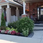 Rent 4 bedroom house in Milton