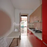 Rent 4 bedroom apartment of 90 m² in Biella