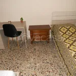 Rent 3 bedroom apartment of 100 m² in Cremona