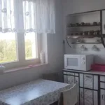 Rent 3 bedroom apartment of 81 m² in Piotrków Trybunalski