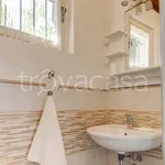 Rent 2 bedroom apartment of 90 m² in Bertinoro