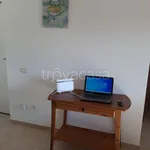 Rent 3 bedroom apartment of 80 m² in Sabaudia