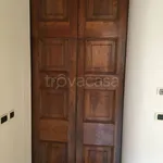 Rent 3 bedroom apartment of 110 m² in Bologna