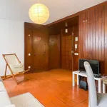 Rent 1 bedroom apartment in lisbon