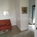 Rent 2 bedroom apartment of 40 m² in Torino