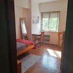 Rent 3 bedroom apartment in Lisbon