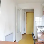 Rent 1 bedroom apartment of 26 m² in Lyon 03